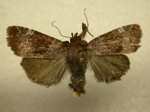  ( - 08-CRBS-984)  @14 [ ] Unspecified (default): All Rights Reserved  Unspecified Unspecified