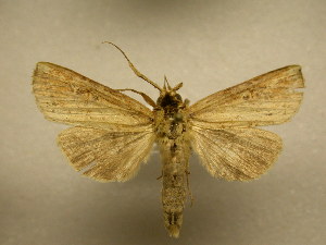  ( - 09-CRBS-081)  @13 [ ] Unspecified (default): All Rights Reserved  Unspecified Unspecified