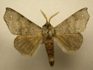  ( - 09-CRBS-127)  @13 [ ] Unspecified (default): All Rights Reserved  Unspecified Unspecified