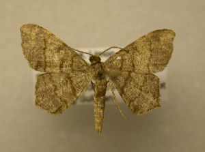  ( - 09-CRBS-250)  @14 [ ] Unspecified (default): All Rights Reserved  Unspecified Unspecified
