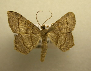  ( - 09-CRBS-251)  @14 [ ] Unspecified (default): All Rights Reserved  Unspecified Unspecified
