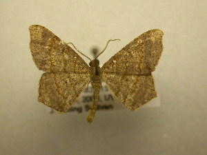  ( - 09-CRBS-253)  @14 [ ] Unspecified (default): All Rights Reserved  Unspecified Unspecified