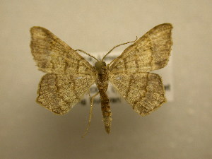  ( - 09-CRBS-256)  @14 [ ] Unspecified (default): All Rights Reserved  Unspecified Unspecified