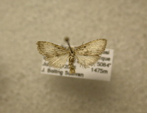 ( - 09-CRBS-495)  @12 [ ] Unspecified (default): All Rights Reserved  Unspecified Unspecified