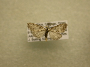  ( - 09-CRBS-496)  @12 [ ] Unspecified (default): All Rights Reserved  Unspecified Unspecified