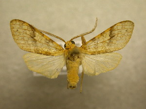  ( - 09-CRBS-886)  @13 [ ] Unspecified (default): All Rights Reserved  Unspecified Unspecified