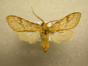  ( - 09-CRBS-887)  @13 [ ] Unspecified (default): All Rights Reserved  Unspecified Unspecified
