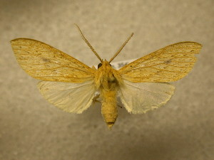  ( - 09-CRBS-895)  @12 [ ] Unspecified (default): All Rights Reserved  Unspecified Unspecified