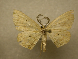  ( - 10-CRBS-049)  @13 [ ] Unspecified (default): All Rights Reserved  Unspecified Unspecified