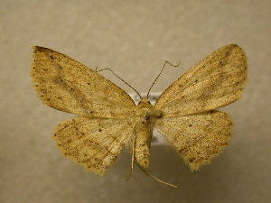  ( - 10-CRBS-050)  @13 [ ] Unspecified (default): All Rights Reserved  Unspecified Unspecified