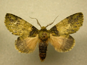  ( - 10-CRBS-092)  @13 [ ] Unspecified (default): All Rights Reserved  Unspecified Unspecified