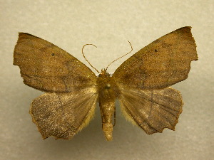  ( - 10-CRBS-281)  @13 [ ] Unspecified (default): All Rights Reserved  Unspecified Unspecified