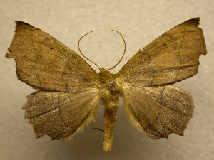  ( - 10-CRBS-284)  @13 [ ] Unspecified (default): All Rights Reserved  Unspecified Unspecified