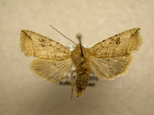  ( - 10-CRBS-542)  @13 [ ] No Rights Reserved (2010) James Sullivan Research Collection of J. B. Sullivan