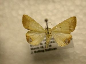  ( - 10-CRBS-892)  @13 [ ] No Rights Reserved (2010) James Sullivan Research Collection of J. B. Sullivan