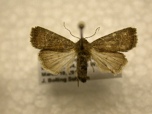 ( - 10-CRBS-930)  @14 [ ] No Rights Reserved (2010) James Sullivan Research Collection of J. B. Sullivan