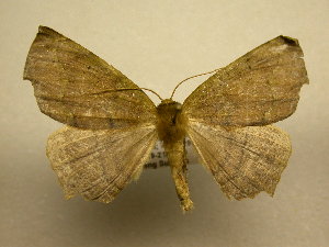  ( - 10-CRBS-1532)  @13 [ ] No Rights Reserved (2010) James Sullivan Research Collection of J. B. Sullivan