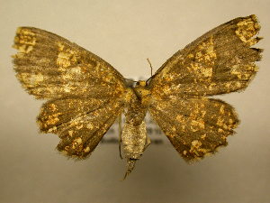  ( - 10-CRBS-1659)  @13 [ ] No Rights Reserved (2010) James Sullivan Research Collection of J. B. Sullivan