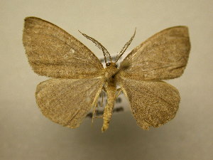  ( - 10-CRBS-1751)  @13 [ ] No Rights Reserved (2010) James Sullivan Research Collection of J. B. Sullivan