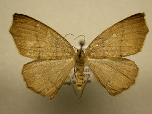  ( - 10-CRBS-1759)  @13 [ ] No Rights Reserved (2010) James Sullivan Research Collection of J. B. Sullivan