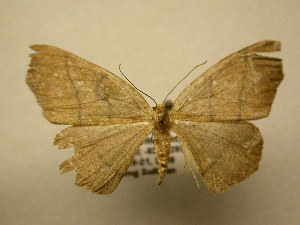  ( - 10-CRBS-1761)  @13 [ ] No Rights Reserved (2010) James Sullivan Research Collection of J. B. Sullivan