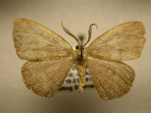  ( - 10-CRBS-1764)  @13 [ ] No Rights Reserved (2010) James Sullivan Research Collection of J. B. Sullivan