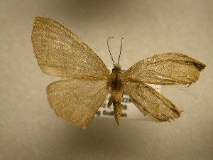  ( - 10-CRBS-1782)  @13 [ ] No Rights Reserved (2010) James Sullivan Research Collection of J. B. Sullivan