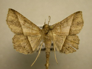  ( - 10-CRBS-2436)  @14 [ ] No Rights Reserved (2010) James Sullivan Research Collection of J. B. Sullivan