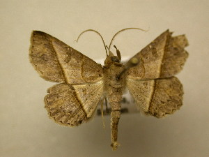  ( - 10-CRBS-2440)  @14 [ ] No Rights Reserved (2010) James Sullivan Research Collection of J. B. Sullivan
