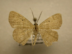 ( - 11-CRBS-642)  @13 [ ] No Rights Reserved (2010) James Sullivan Research Collection of J. B. Sullivan