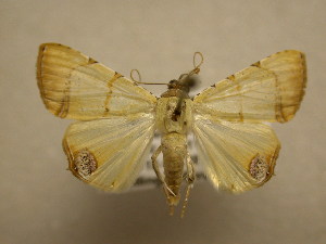  ( - 11-CRBS-848)  @13 [ ] No Rights Reserved (2010) James Sullivan Research Collection of J. B. Sullivan