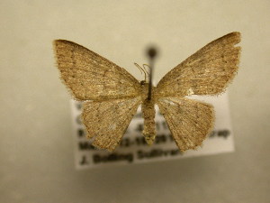  ( - 11-CRBS-1034)  @12 [ ] No Rights Reserved (2010) James Sullivan Research Collection of J. B. Sullivan