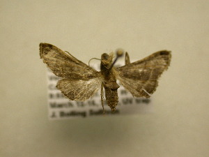  ( - 11-CRBS-1874)  @13 [ ] No Rights Reserved (2010) James Sullivan Research Collection of J. B. Sullivan