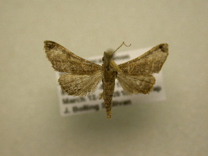  ( - 11-CRBS-1875)  @13 [ ] No Rights Reserved (2010) James Sullivan Research Collection of J. B. Sullivan