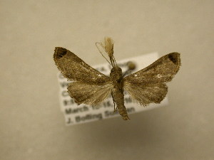  ( - 11-CRBS-1883)  @13 [ ] No Rights Reserved (2010) James Sullivan Research Collection of J. B. Sullivan