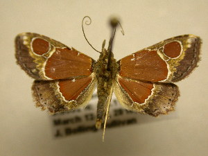  ( - 11-CRBS-2055)  @13 [ ] No Rights Reserved (2010) James Sullivan Research Collection of J. B. Sullivan