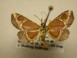  ( - 11-CRBS-2057)  @13 [ ] No Rights Reserved (2010) James Sullivan Research Collection of J. B. Sullivan