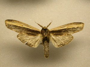  ( - 11-CRBS-2063)  @14 [ ] No Rights Reserved (2010) James Sullivan Research Collection of J. B. Sullivan