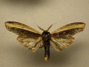  ( - 11-CRBS-2064)  @14 [ ] No Rights Reserved (2010) James Sullivan Research Collection of J. B. Sullivan