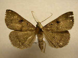  ( - 11-CRBS-2229)  @13 [ ] No Rights Reserved (2010) James Sullivan Research Collection of J. B. Sullivan