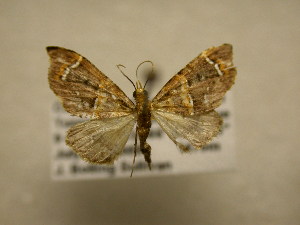  ( - 11-CRBS-2861)  @13 [ ] No Rights Reserved (2011) JB Sullivan Research Collection of J. B. Sullivan