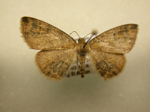  ( - 12-CRBS-354)  @13 [ ] No Rights Reserved (2012) JB Sullivan Research Collection of J.B. Sullivan