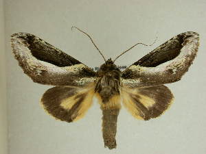  ( - 13-CRBS-282)  @14 [ ] No Rights Reserved (2013) James Sullivan Research Collection of J. B. Sullivan