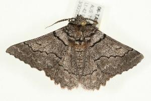  ( - 06-TASB-00662)  @13 [ ] Copyright (2010) Unspecified Unspecified