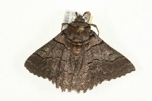  ( - 06-TASB-00771)  @13 [ ] Copyright (2010) Unspecified Unspecified