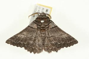  ( - 06-TASB-01464)  @13 [ ] Copyright (2010) Unspecified Unspecified