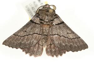  ( - 06-TASB-01797)  @13 [ ] Copyright (2010) Unspecified Unspecified