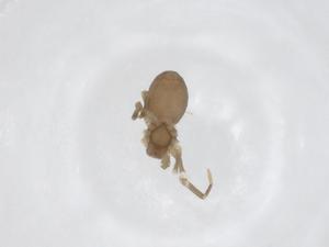  ( - CBG-A59759-E08)  @11 [ ] CreativeCommons - Attribution Share - Alike (2024) Centre for Biodiversity Genomics Centre for Biodiversity Genomics