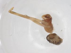  ( - CBG-A59765-B08)  @11 [ ] CreativeCommons - Attribution Share - Alike (2024) Centre for Biodiversity Genomics Centre for Biodiversity Genomics