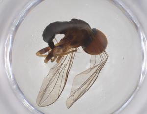  ( - CBG-A60131-E05)  @11 [ ] CreativeCommons - Attribution Share - Alike (2025) Centre for Biodiversity Genomics Centre for Biodiversity Genomics